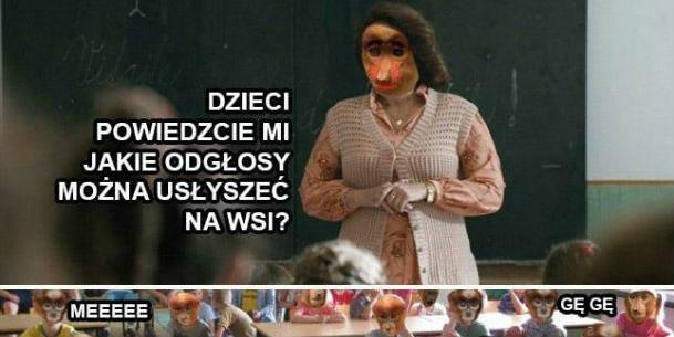Odgłosy na wsi :D