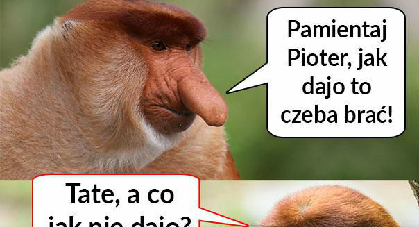 Porada Janusza :D