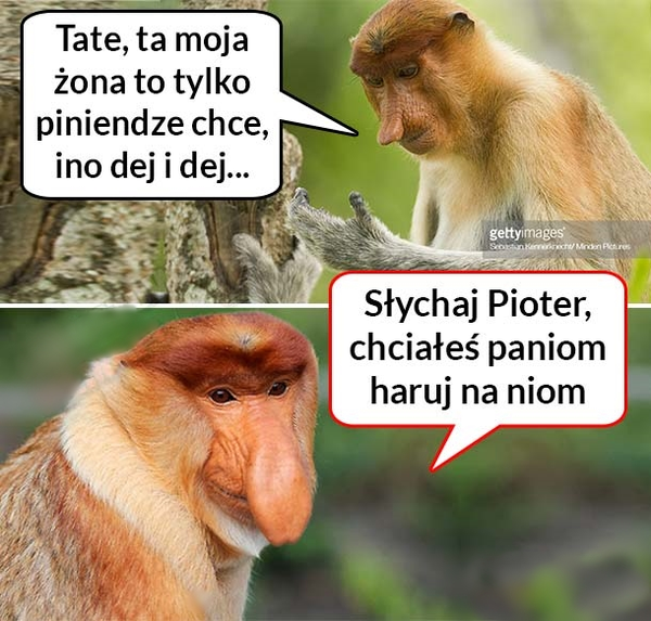 Życiowa prawda :D