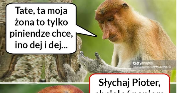 Życiowa prawda :D