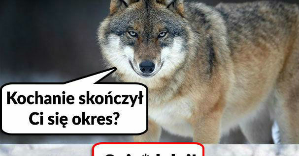 Te dni :D