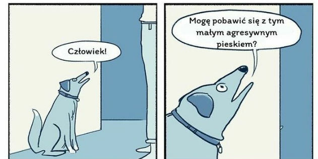 Nieprawdopodobne a jednak