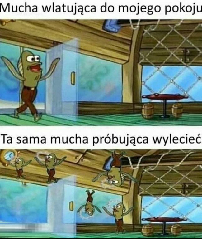 Ach te muchy