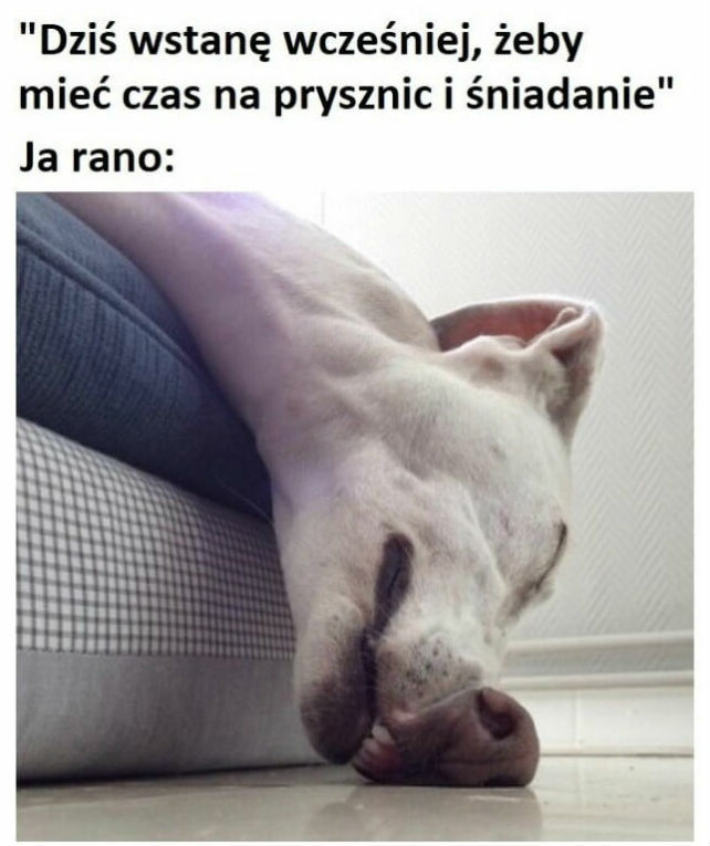 Na chęciach się kończy