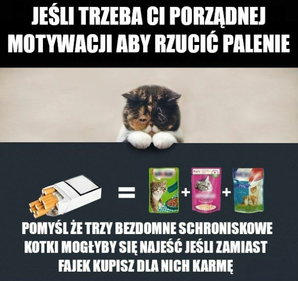 Dobra motywacja to podstawa