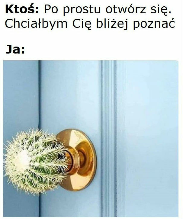 Nic z tego nie będzie