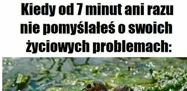 Całe 7 minut spokoju