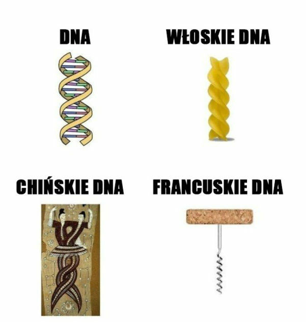 Różne DNA