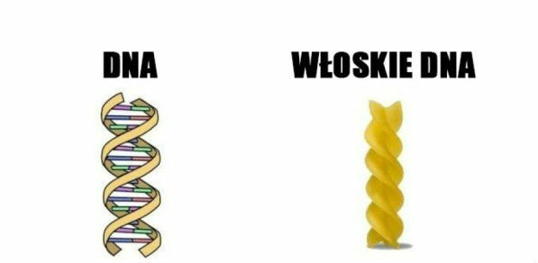 Różne DNA