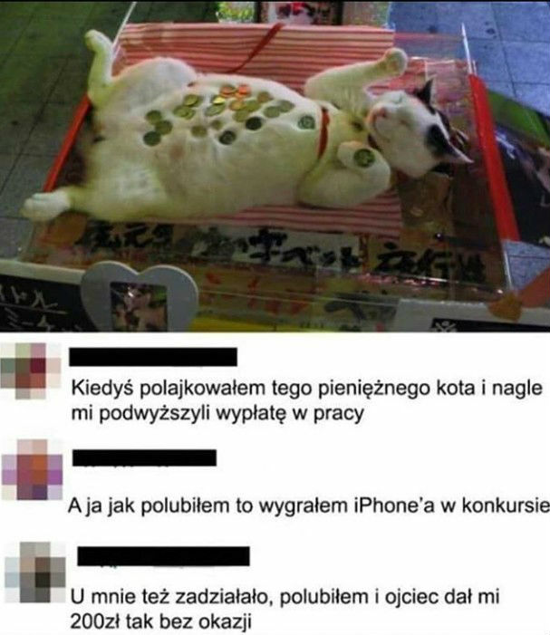 Kot przynoszący szczęście