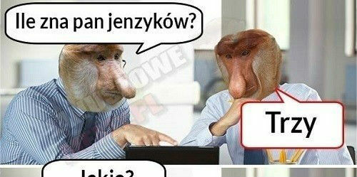 Znajomość języków obcych mile widziana
