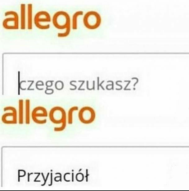 Poszukiwania w internecie