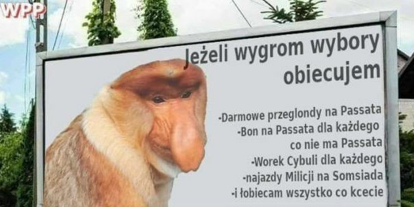Wybory tuż tuż