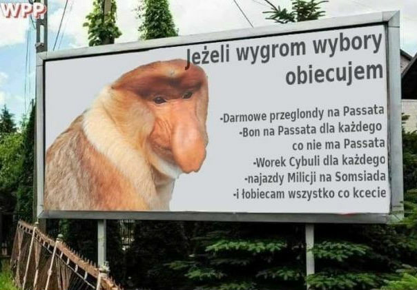 Wybory tuż tuż
