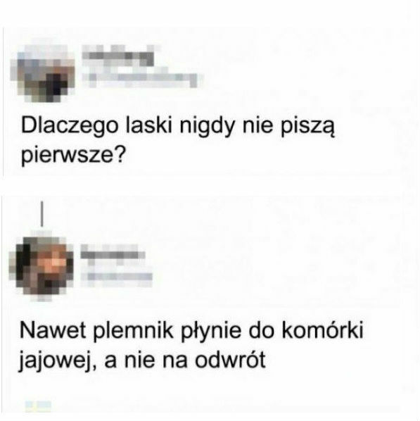 Jaka odpowiedź