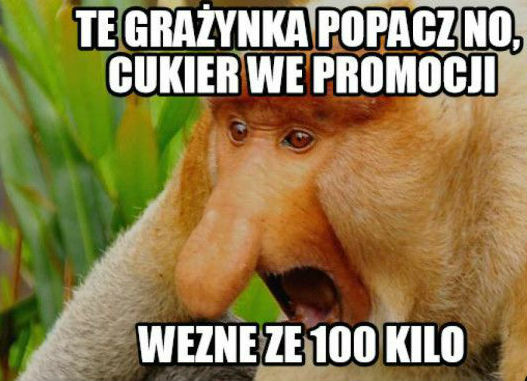 Cukier na promocji