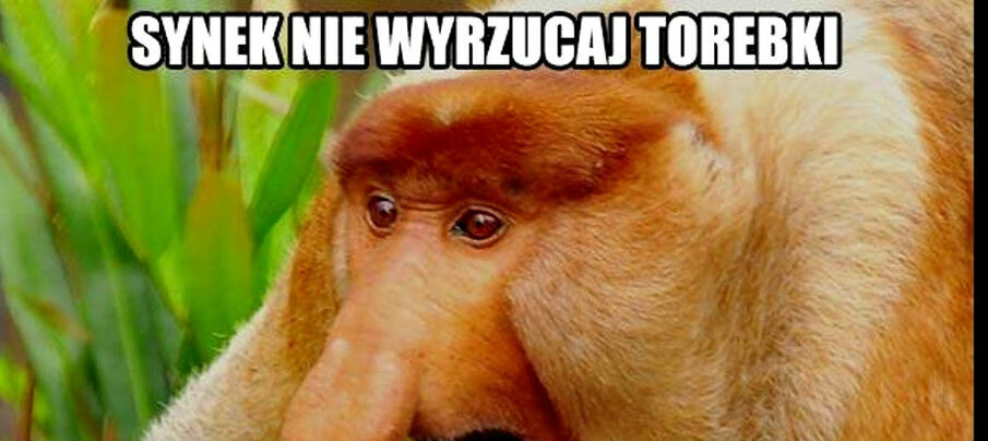 Tata wie najlepiej