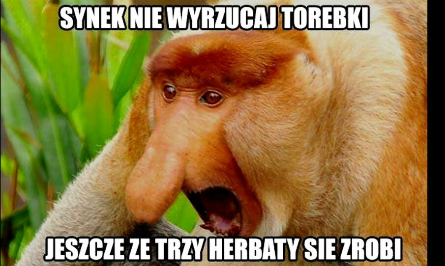 Tata wie najlepiej