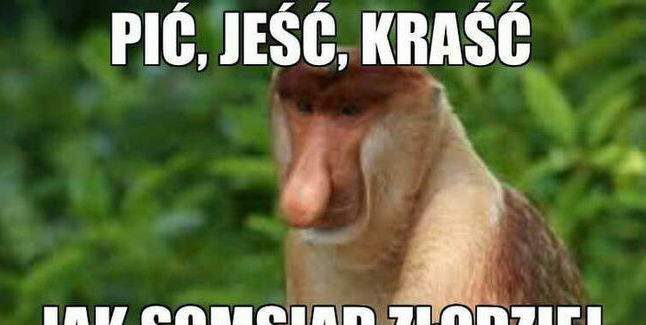 Być jak sąsiad