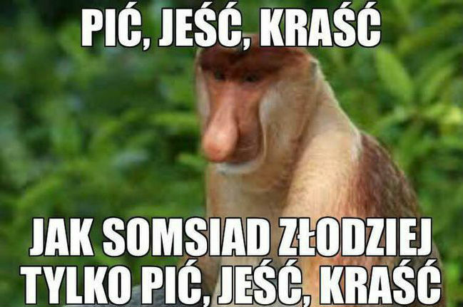 Być jak sąsiad