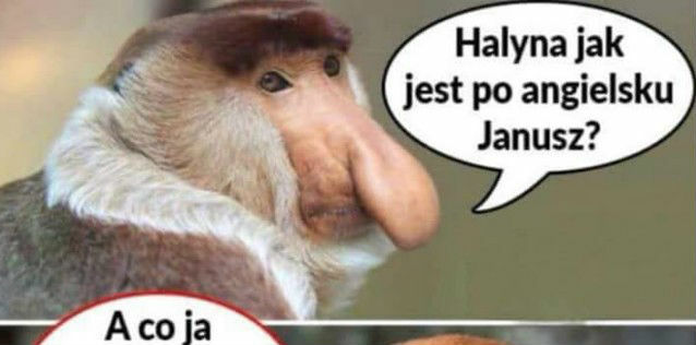 Nauka języka angielskiego