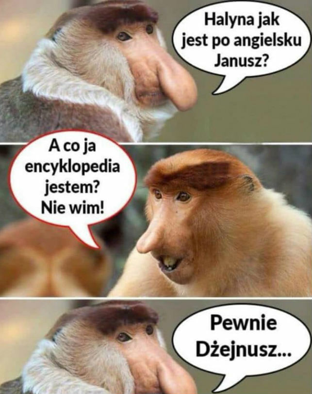 Nauka języka angielskiego