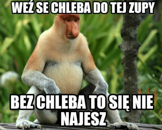 Chlebek z zupką musi być