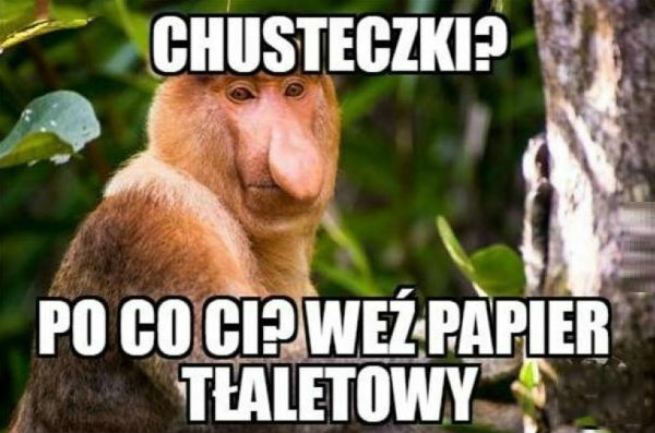 Wybory Janusza