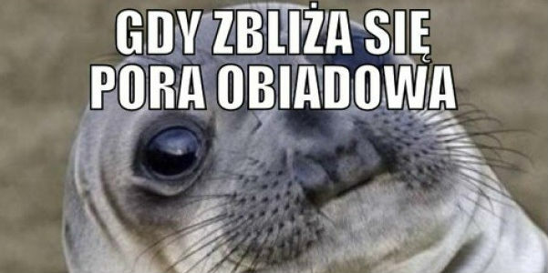 Bycie ziemniakiem jest takie fajne
