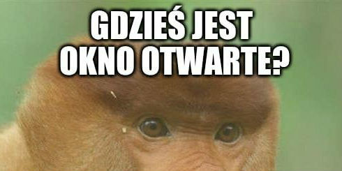 W końcu jesień za oknem
