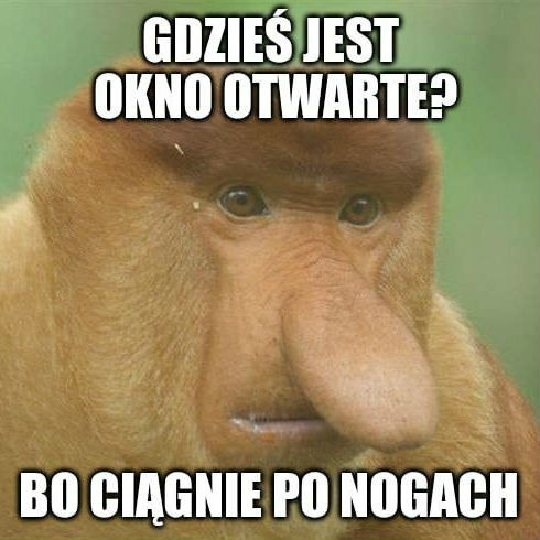 W końcu jesień za oknem