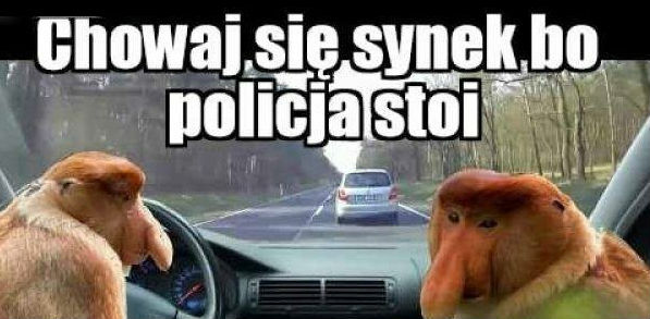 Z policją nie ma przelewek