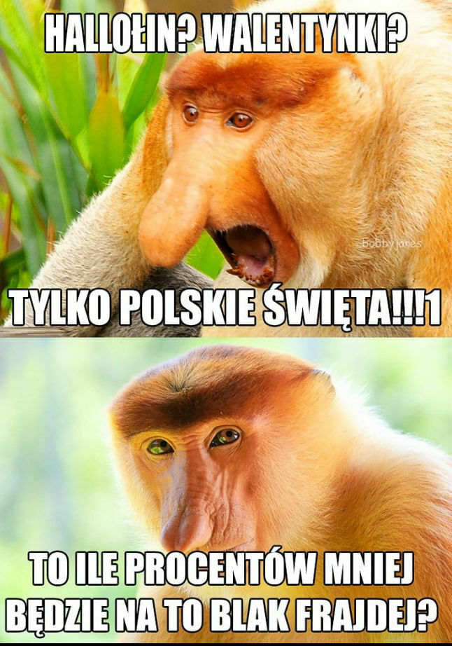 Polskie święta