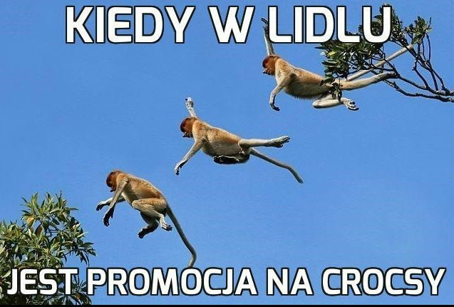 Ach te promocje
