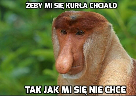 Leniwy poniedziałek
