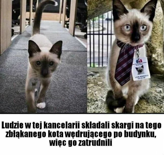 Jednak są dobrzy ludzie