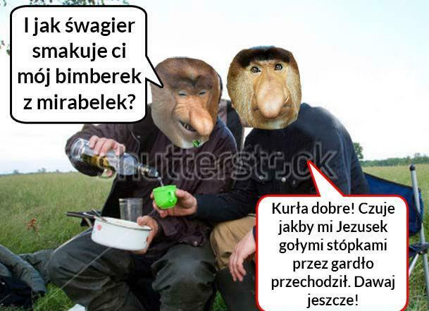 Bimberek pierwsza klasa