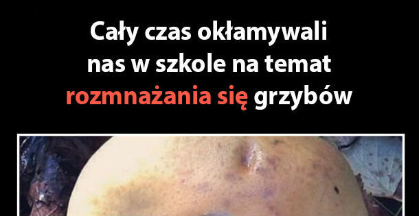 Prawda o rozmnażaniu się grzybów :D