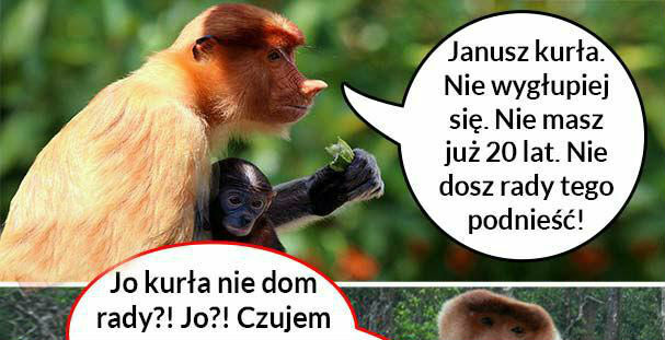 Janusz paker nie da rady?!