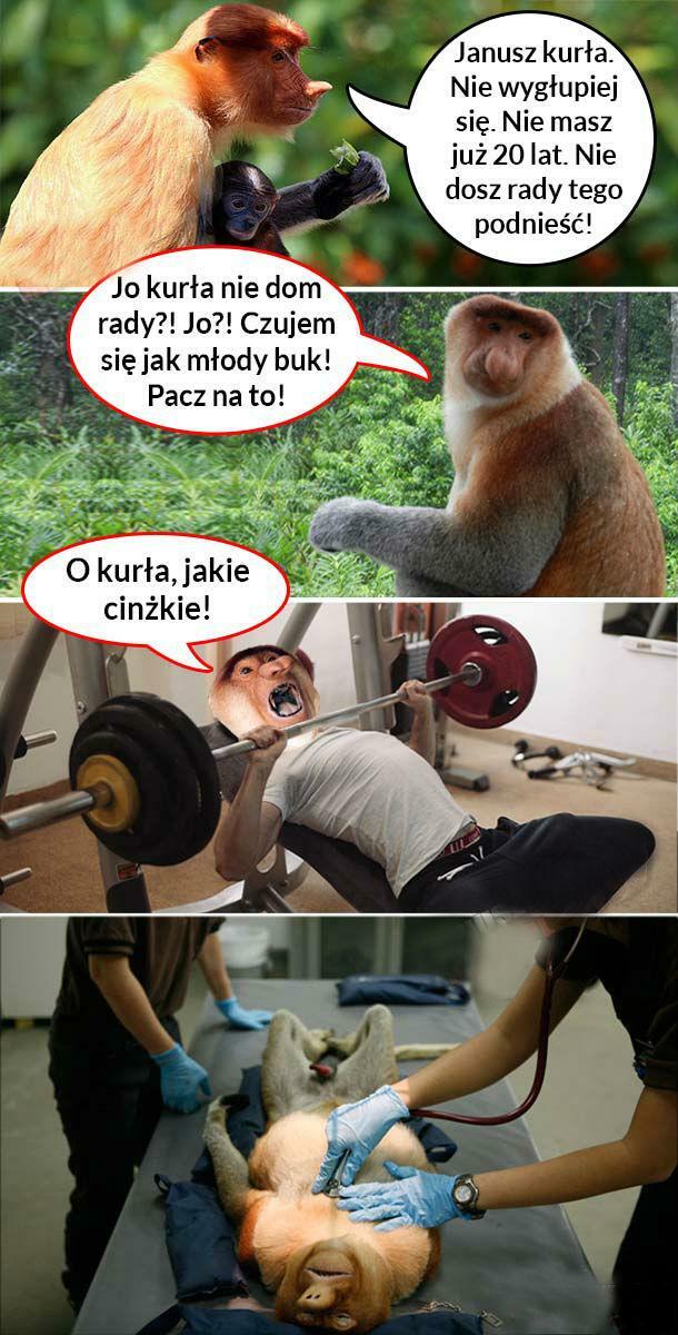Janusz paker nie da rady?!