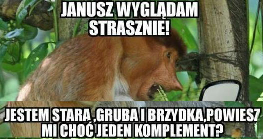 Janusz komplemenciarz :D