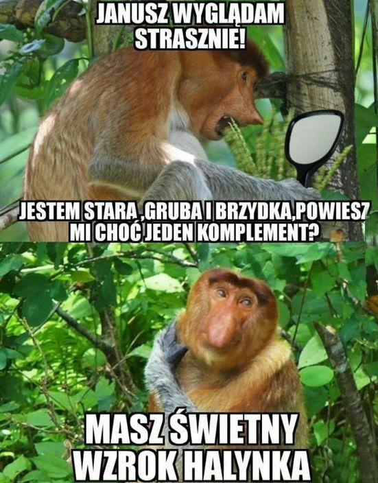 Janusz komplemenciarz :D