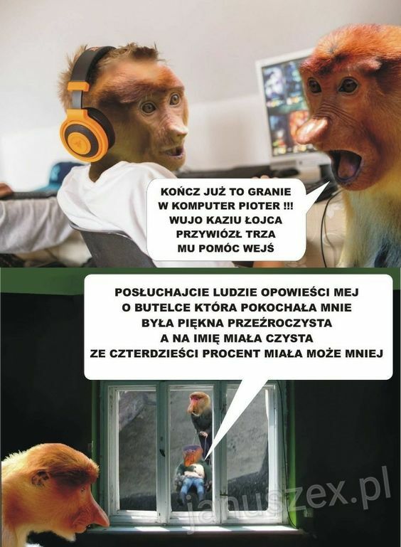Piosenka o gorzałce :D