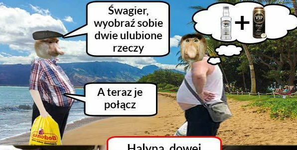 Połączenie pryma sort :D