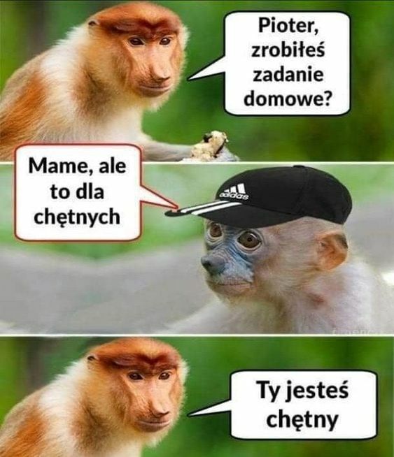 Praca domowa :D