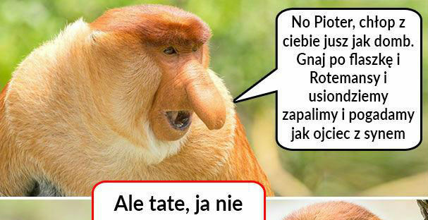 Rozmowa ojca z synem :D