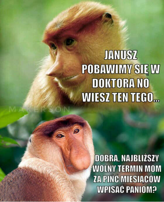 Zabawa w doktora