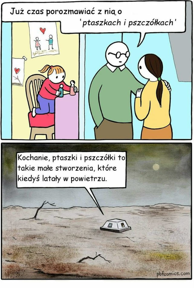 Ptaszki i pszczółki