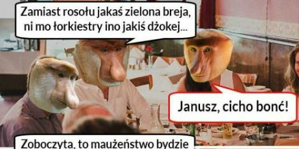 Kiedy Janusz marudzi