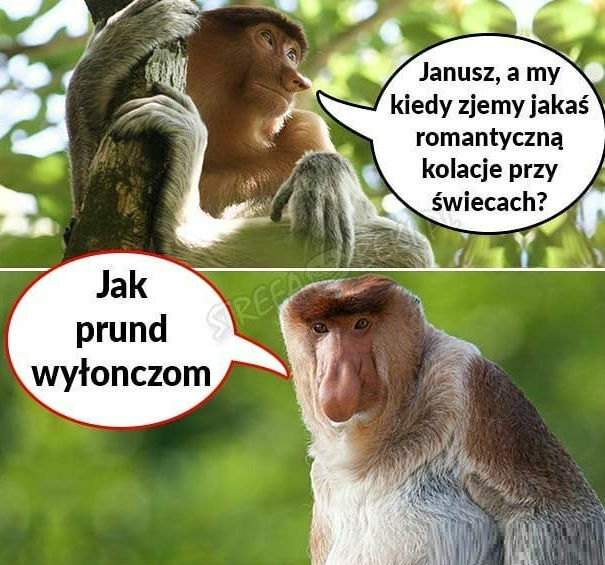 Ktoś tutaj głodny